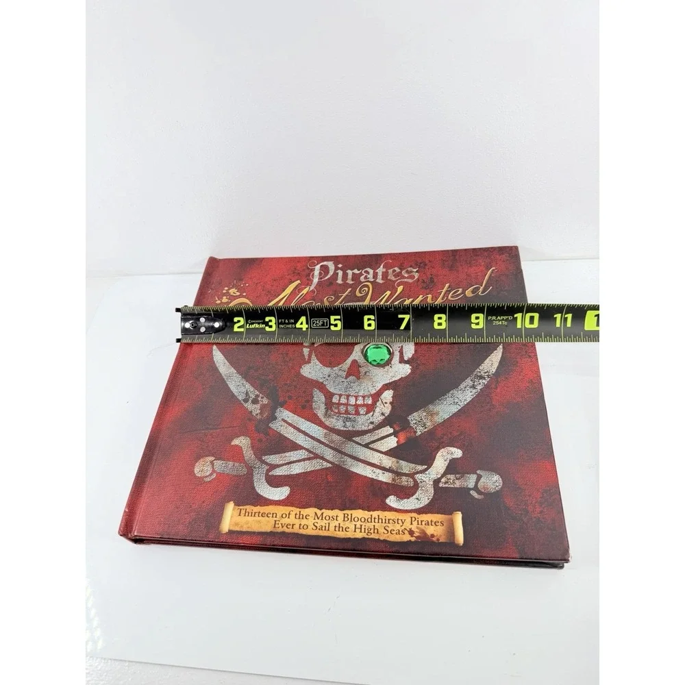 Pirates : Most Wanted by John Matthews (2007, Picture Book)